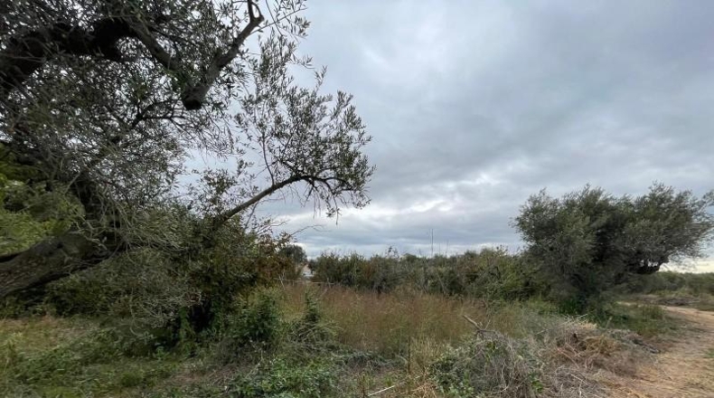 Tarragona - Cambrils - 4657m2