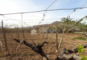 Casa de camp amb terreny en venda a la España, Asp, ref.: TR133648 foto