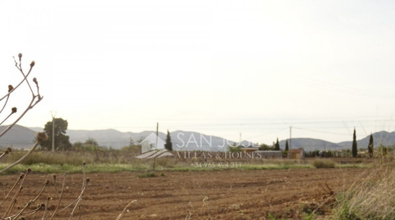 Alicante - Aspe - 16000m2
