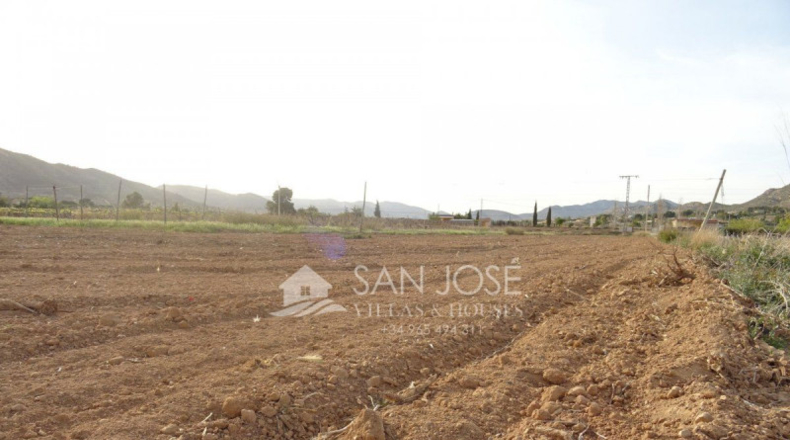 Alicante - Aspe - 16000m2
