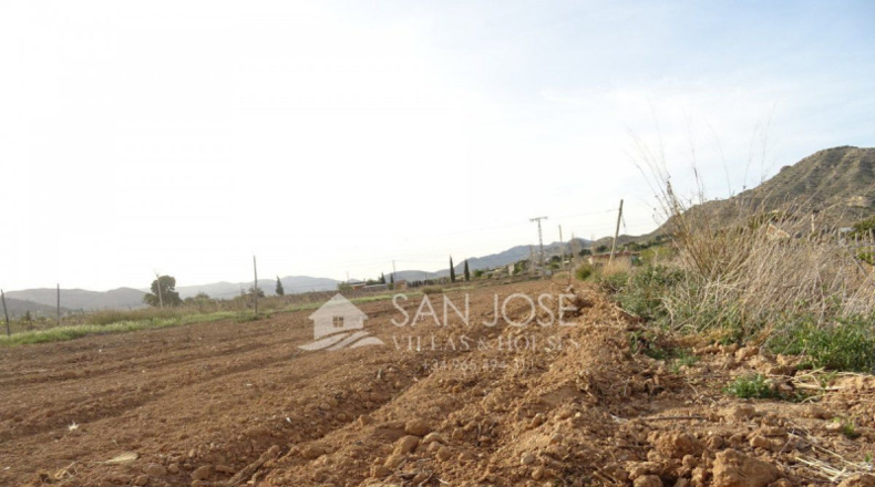 Alicante - Aspe - 16000m2