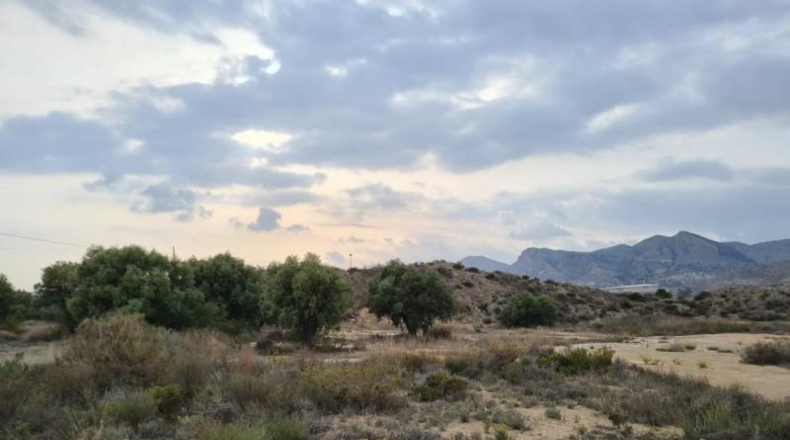 Alicante - Alicante - 23210m2