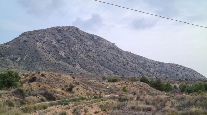 Alicante - Alicante - 23210m2