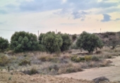 Terreny no urbanitzable en venda a la España, Alacant, ref.: TR124934 foto