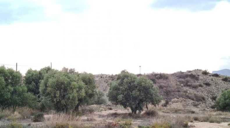 Alicante - Alicante - 23210m2