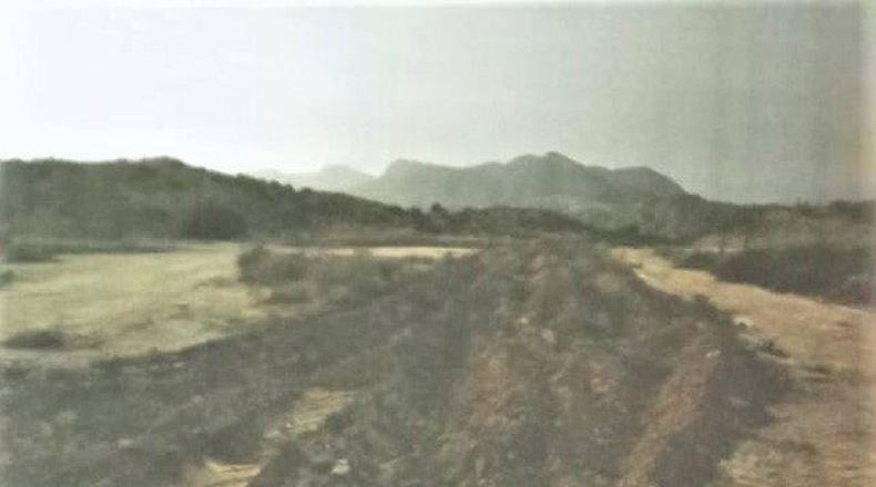 Alicante - Alicante - 23210m2
