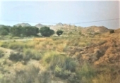 Terreny no urbanitzable en venda a la España, Alacant, ref.: TR115436 foto