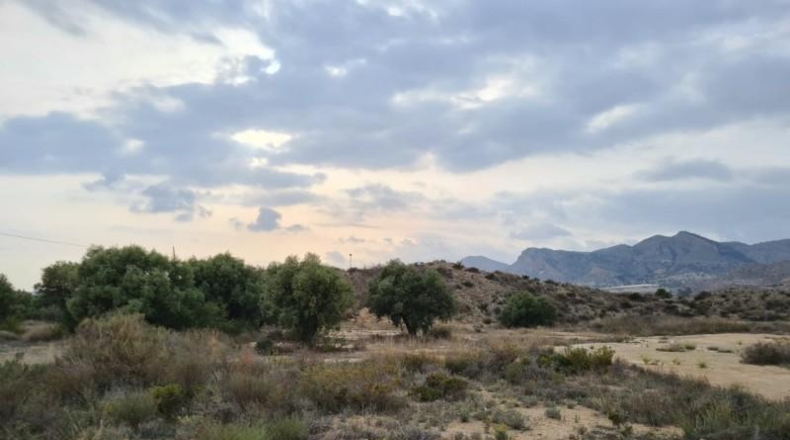 Alicante - Alicante - 23210m2