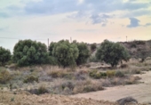 Terreny no urbanitzable en venda a la España, Alacant, ref.: TR115436 foto