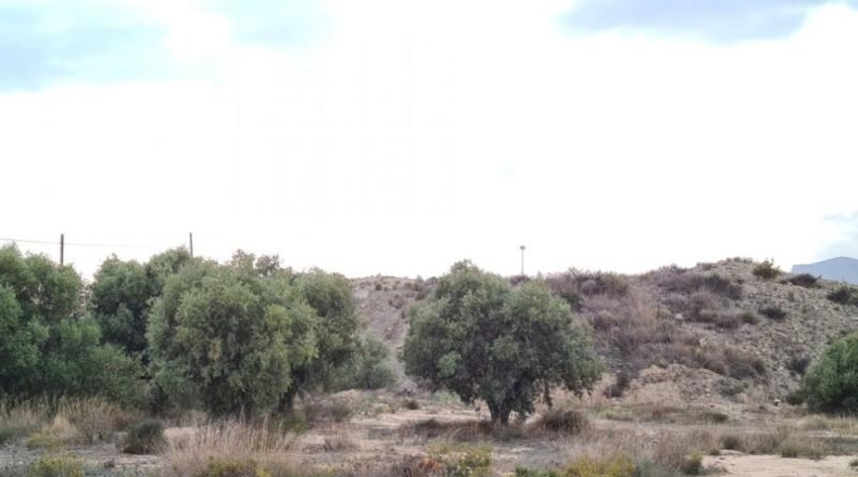 Alicante - Alicante - 23210m2