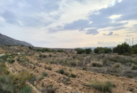 Foto 11