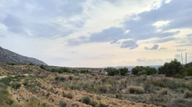 Alicante - Alicante - 23210m2