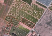 Non-developable land for sale on España, Sagunto, ref: TR142097 photo