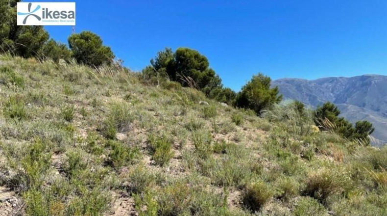 Granada - Órgiva - 49142m2