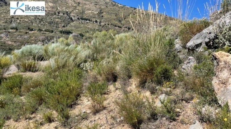 Granada - Órgiva - 49142m2