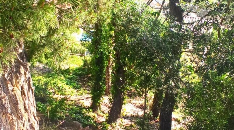 Barcelona - Canyelles - 730m2