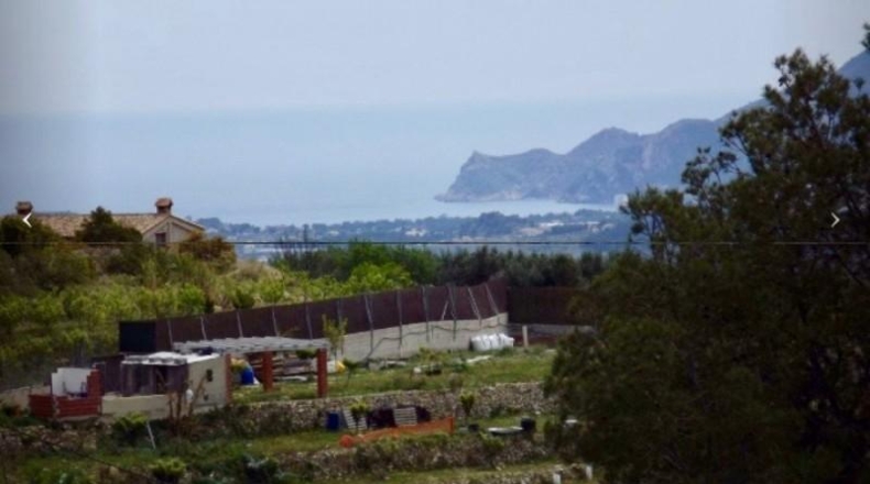 Alicante - Callosa de Ensarriá - 11000m2