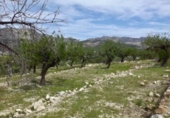 Terreny no urbanitzable en venda a la España, Callosa d'en Sarrià, ref.: TR171878 foto
