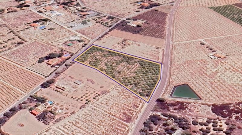 Alicante - Elx - 10000m2