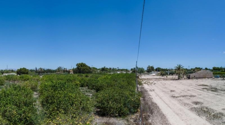 Alicante - Elx - 10000m2