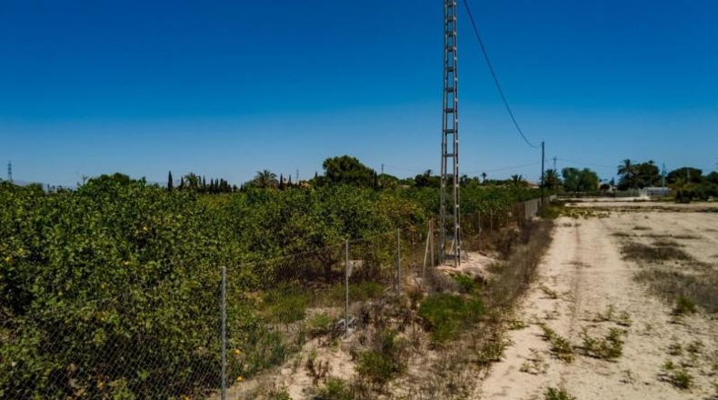 Alicante - Elx - 10000m2