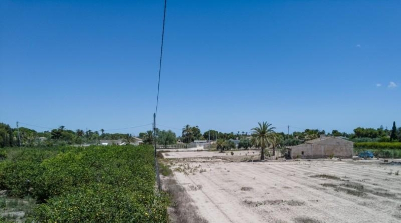 Alicante - Elx - 10000m2