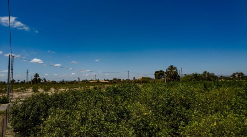 Alicante - Elx - 10000m2