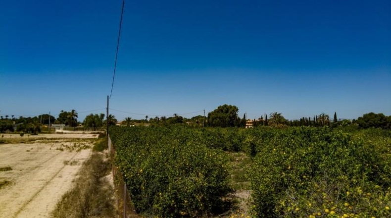 Alicante - Elx - 10000m2