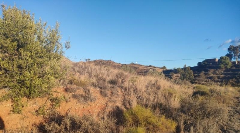 Málaga - Mijas - 4174m2