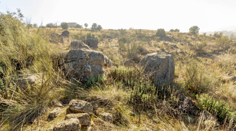 Toledo - Toledo - 8816m2