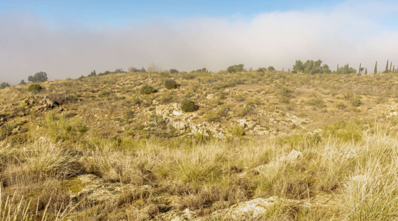 Toledo - Toledo - 8816m2