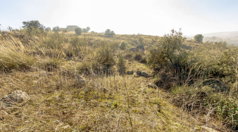 Toledo - Toledo - 8816m2