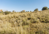 Sòl urbà en venda a la España, Toledo, ref.: TR123057 foto