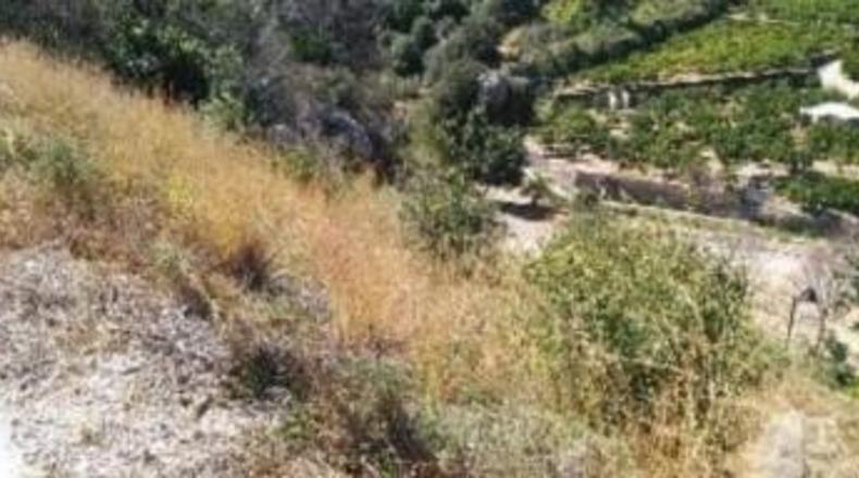 Alicante - Pego - 1200m2