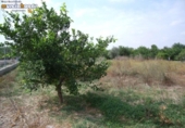 Terreny no urbanitzable en venda a la España, Múrcia, ref.: TR113660 foto