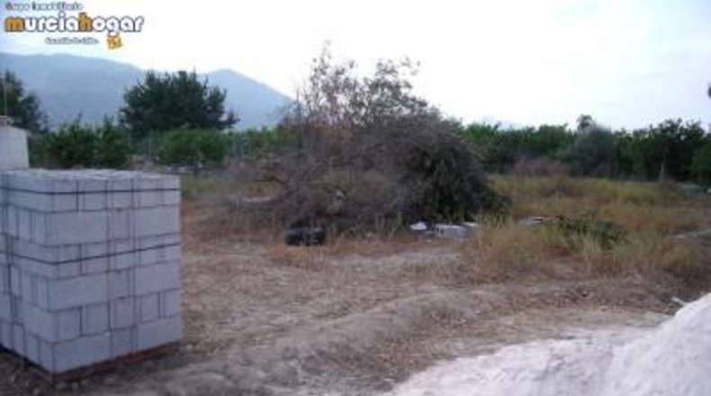 Múrcia - Murcia - 4800m2