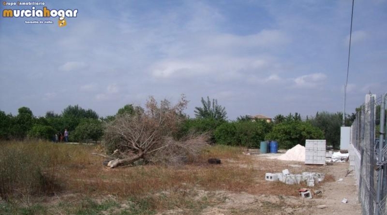 Múrcia - Murcia - 4800m2