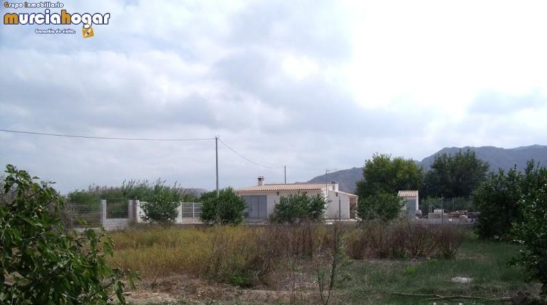 Múrcia - Murcia - 4800m2