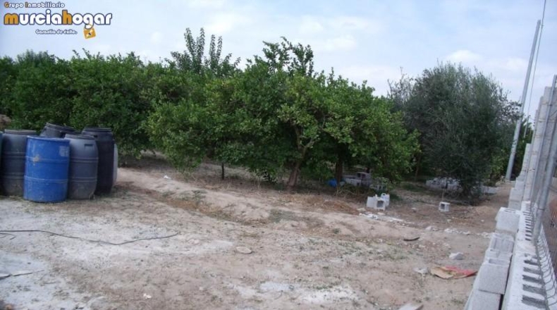 Múrcia - Murcia - 4800m2