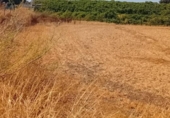 Terreny no urbanitzable en venda a la España, Chiclana de la Frontera, ref.: TR331834 foto
