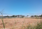 Terreny no urbanitzable en venda a la España, Chiclana de la Frontera, ref.: TR331834 foto