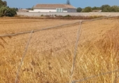 Terreny no urbanitzable en venda a la España, Chiclana de la Frontera, ref.: TR331834 foto