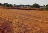 Terreny no urbanitzable en venda a la España, Chiclana de la Frontera, ref.: TR331834 foto