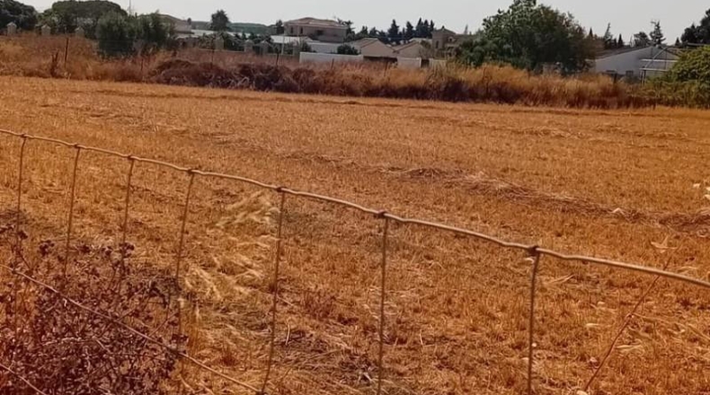 Cádiz - Chiclana de la Frontera - 1359m2