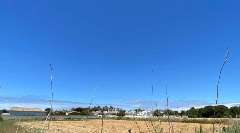 Cádiz - Chiclana de la Frontera - 1359m2