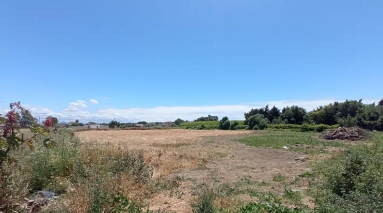 Cádiz - Chiclana de la Frontera - 1359m2