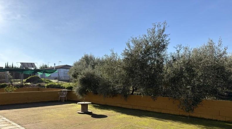 Sevilla - Las Cabezas de San Juan - 2782m2