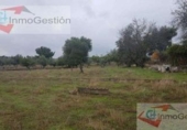 House with land for sale on España, Arroyo de la Luz, ref: TR295540 photo