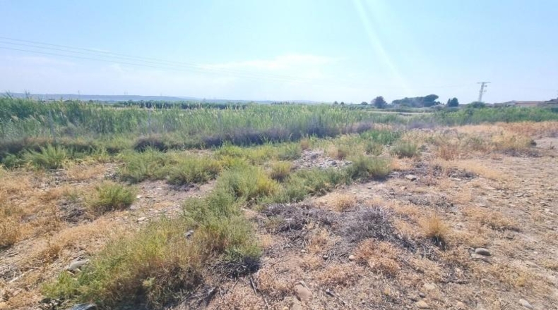 Zaragoza - Nuez de Ebro - 2816m2