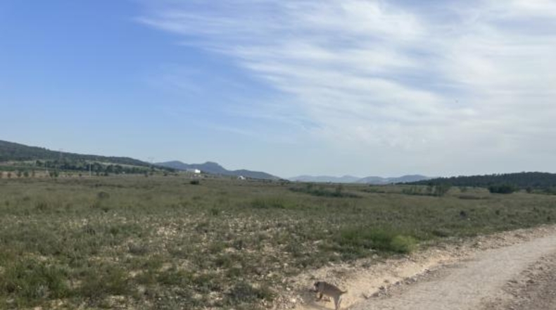 Alicante - Salinas - 69000m2